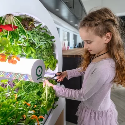 Indoor Smart Garden Ideas to Make the Most of Winter